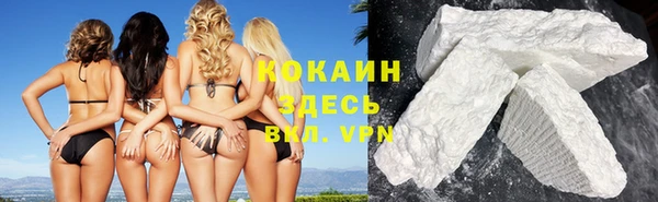 твердый Козельск