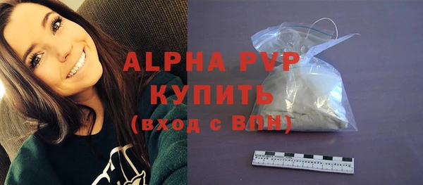 твердый Козельск