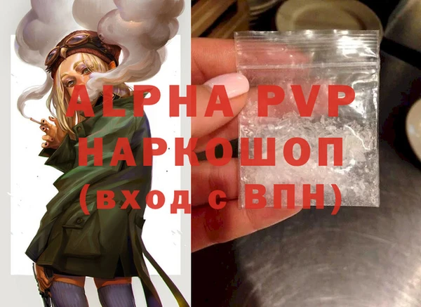твердый Козельск