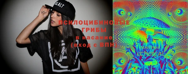 твердый Козельск