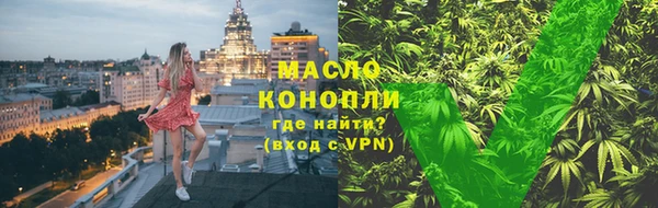 твердый Козельск