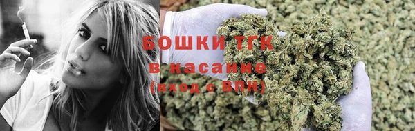 твердый Козельск
