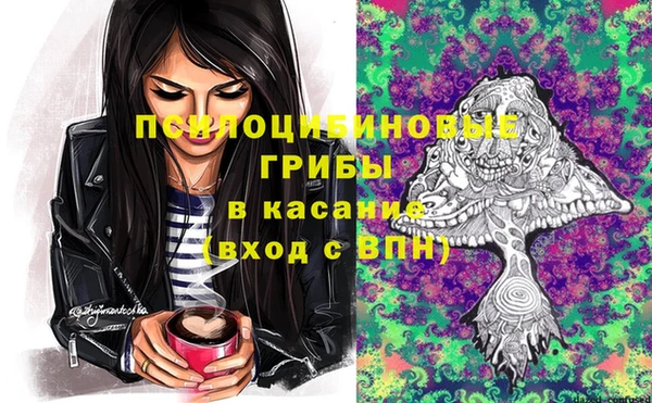 бошки Кодинск